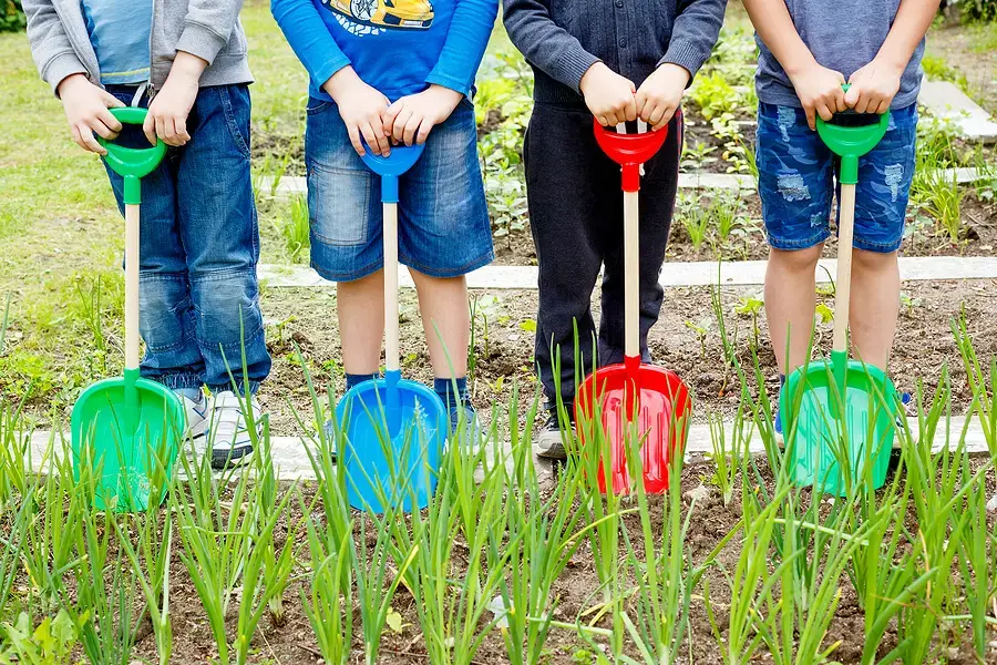 Four boys playing with plastic shovels in the garden at summer day